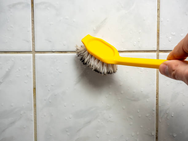 Best Affordable Mold Removal  in North Merrick, NY
