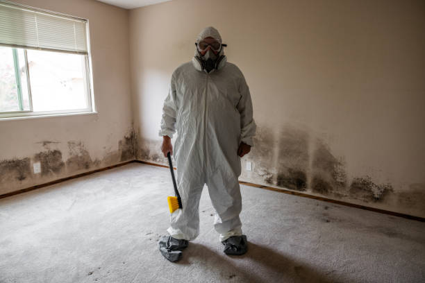 Best Residential Mold Removal  in North Merrick, NY